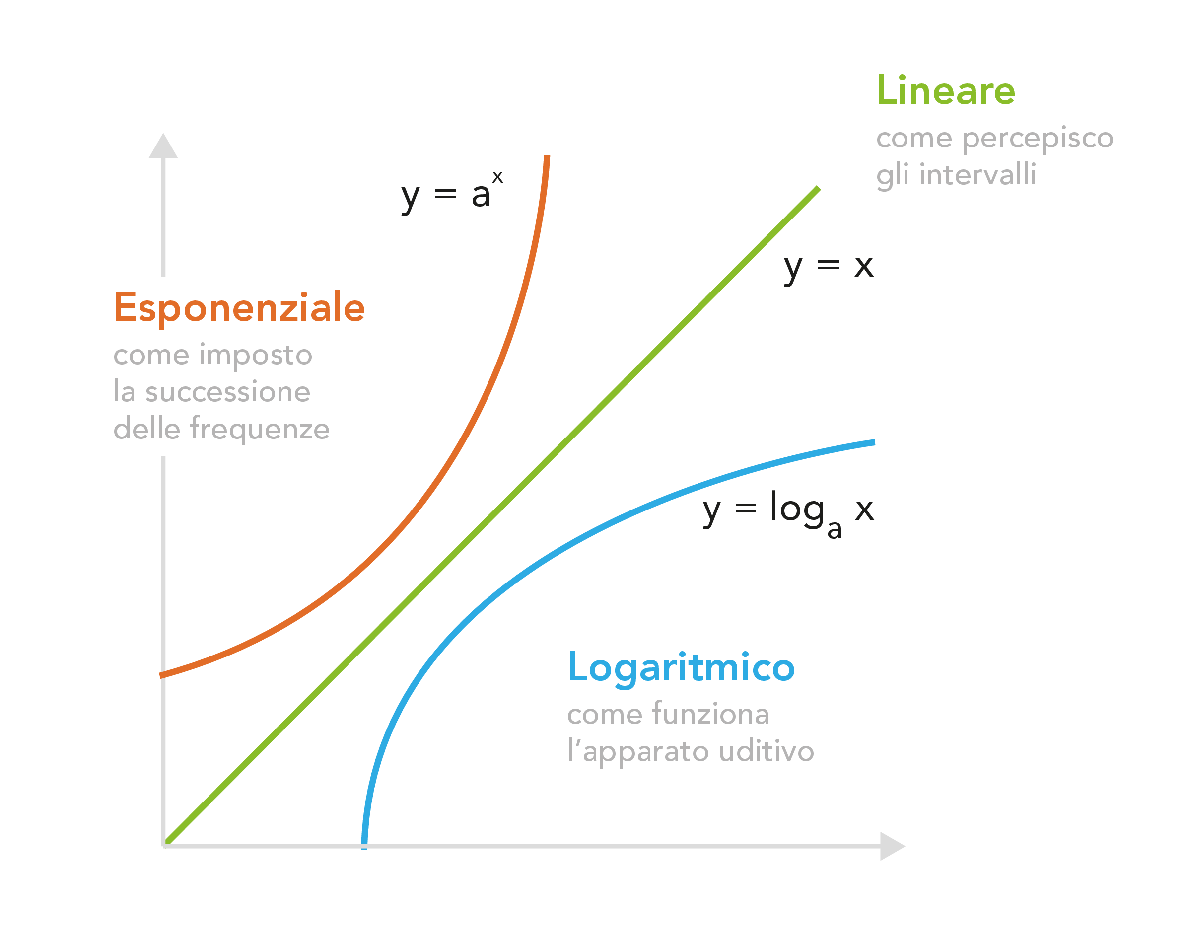Scala esponenziale, logaritmica e lineare — tre curve a confronto